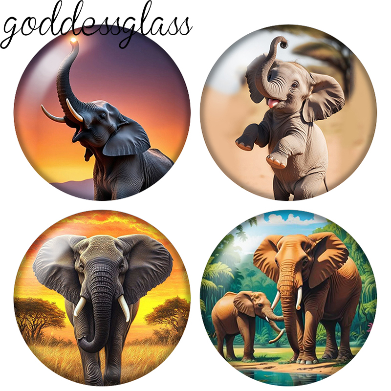 Elephant Cute Wild Animal 10pc - Body Jewelry Top recension och pris