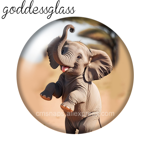 Elephant Cute Wild Animal 10pc - Body Jewelry Top recension och pris