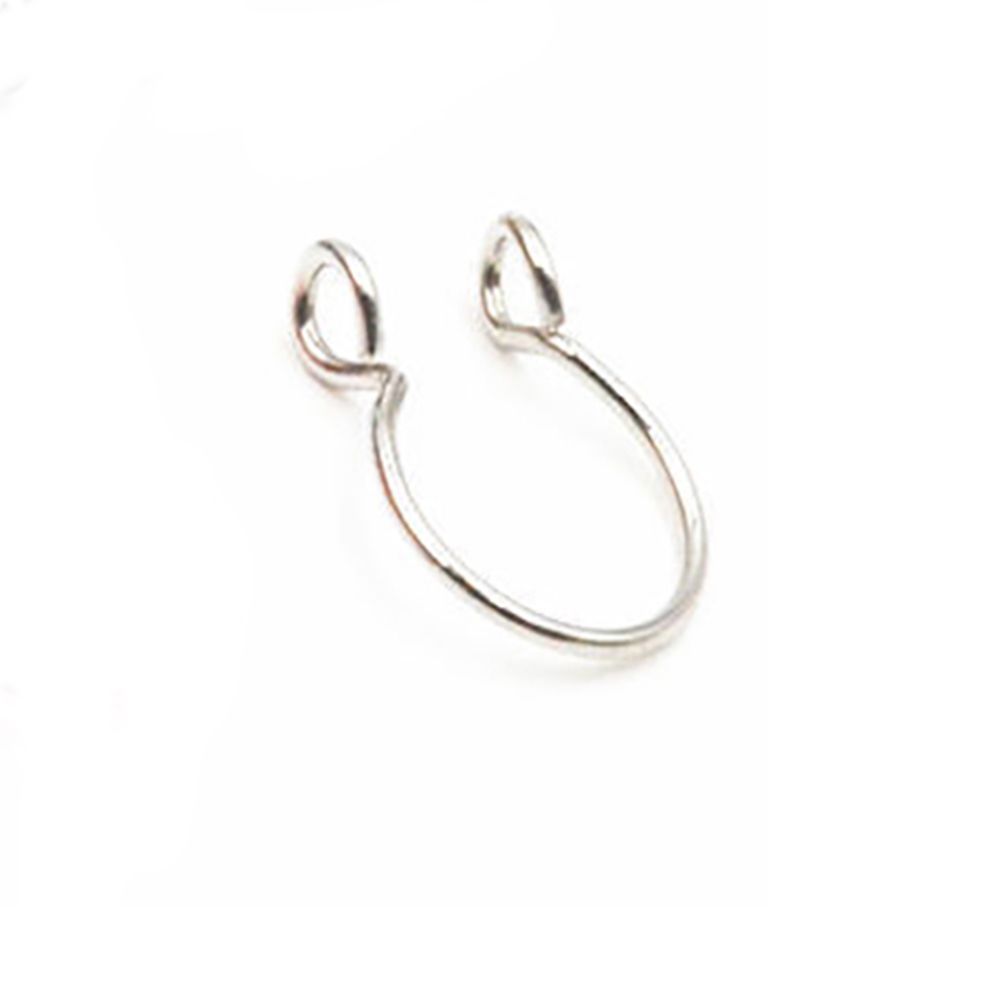 Stainless Steel Surgical Ear P - Body Jewelry Lip Ring recension och pris